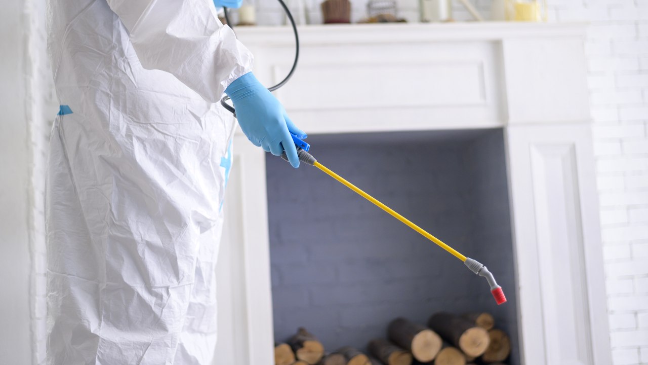 Técnico em dedetização aplicando produto com pulverizador e EPI