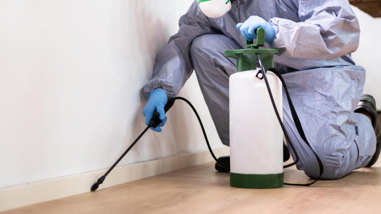 Descupinização com pulverizador em rodapés e estruturas de madeira
