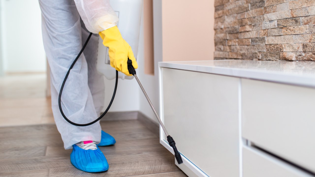 Desratização profissional com EPI e aplicação em áreas de risco